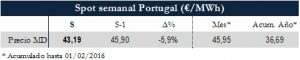 Icon of TABLA MAGNITUDES RELEVANTES SPOT PT