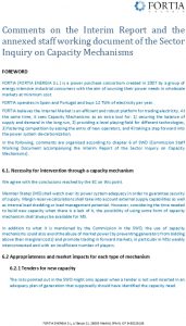 Icon of 2016 07 Public Consultation On Interim Report On Capacity Mechanisms