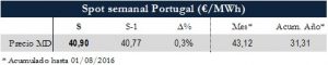 Icon of TABLA MAGNITUDES RELEVANTES SPOT PT