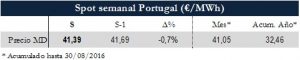 Icon of TABLA MAGNITUDES RELEVANTES SPOT PT