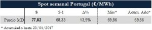 Icon of TABLA MAGNITUDES RELEVANTES SPOT PT