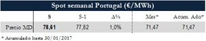 Icon of TABLA MAGNITUDES RELEVANTES SPOT PT